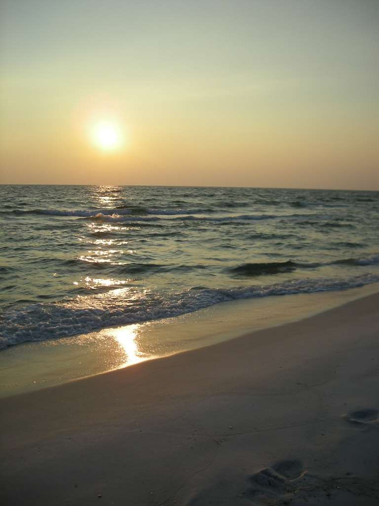 Hampton Inn By Hilton Panama City Beach Upper Grand Lagoon Alam Semulajadi gambar